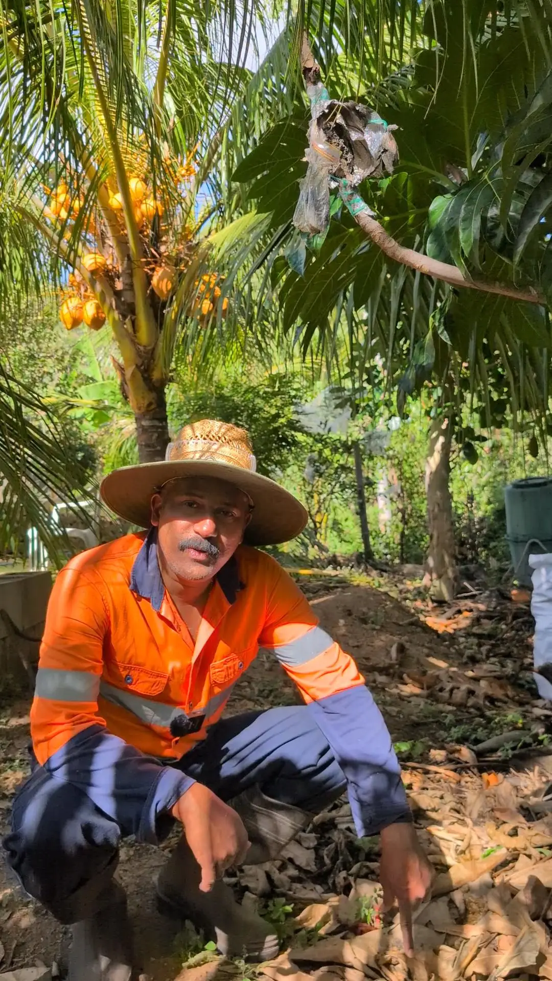Binu Vadakkedath sitting in his Kerala-style backyard garden in Queensland